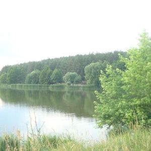 Яготинский рыбгосп