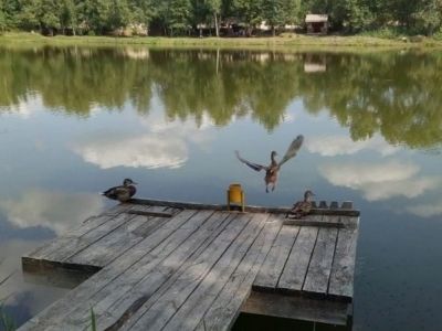 Озеро Королек