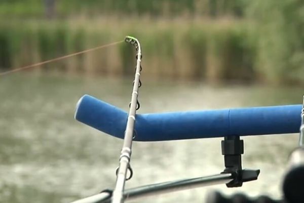 Ловля амура и карпа фидером