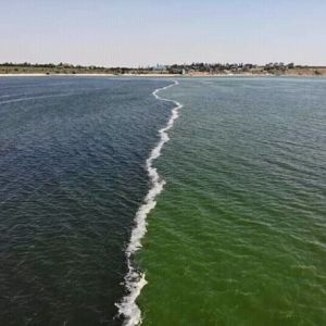 Жемчужина Николаевщины: место, где Днепро-Бугский лиман впадает в Черное море