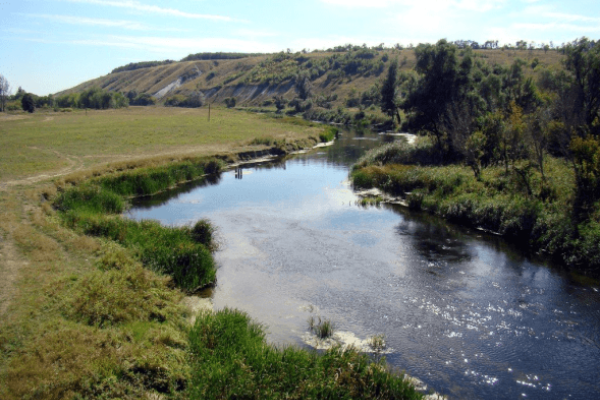 Бассейновый принцип в рыбном хозяйстве