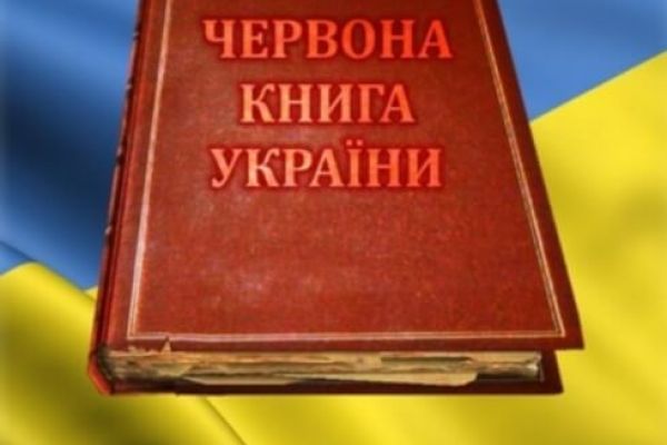 Краснокнижные виды рыб Тернопольской области