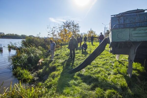 Зарыбление озера Басов Кут в Ровно