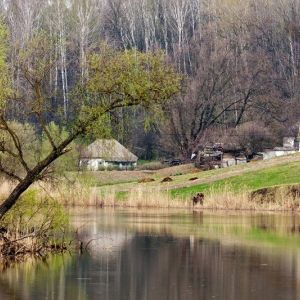 Ольшана, Черкасская область