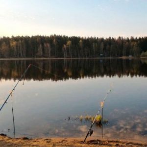 Раменский рыбхоз "Гжелка", Раменский район