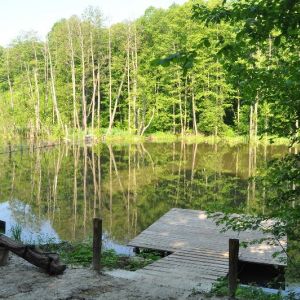 Пруд Адреналин (пос.Горького, Богодуховский район)