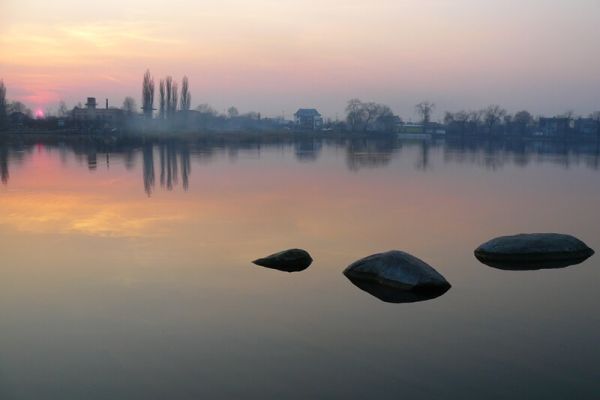 В Басов Кут запустят травоядных рыб