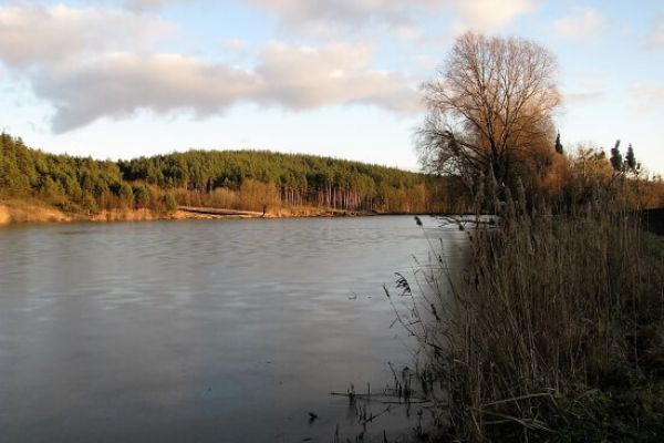 Правила изменения уровня воды в арендованных водоемах