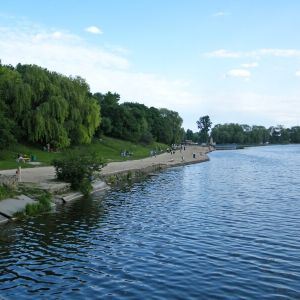 Басов Кут, Ровно, Ровенская область