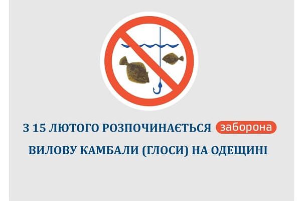 С 15 февраля в Одесской области начинается запрет вылова камбалы (глоссы)
