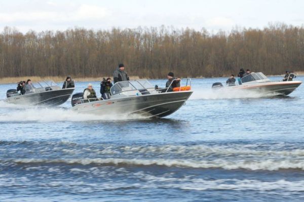 Относительно ситуации вокруг операции «Нерест 2019»