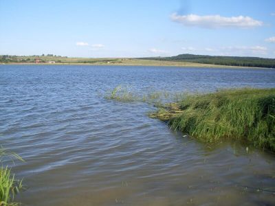 Рыбный Горбок, Закарпатская область