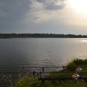 Рыбопитомник КРУТАЯ БАЛКА Днепропетровская обл., Софиевский р-н, с. Любимовка