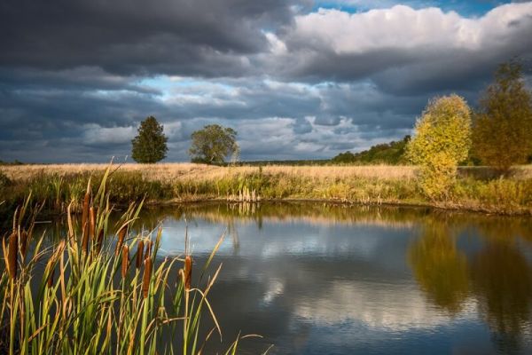 На каких водоемах можно рыбачить бесплатно?