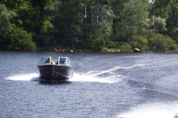 Черниговский рибоохранный патруль обнаружил нарушений на 142 тыс. грн убытков