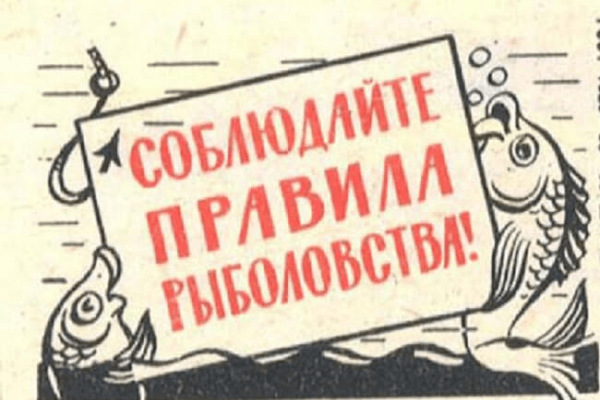 нарушение правил рыболовства