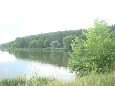 Яготинский рыбгосп