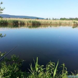 Романов