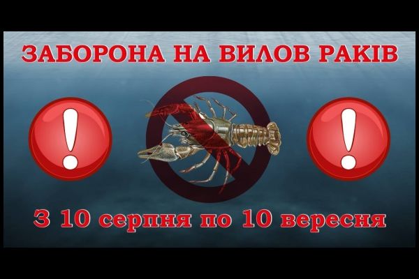 Что Вы знаете о раках? Запрет ловли на Виннице.
