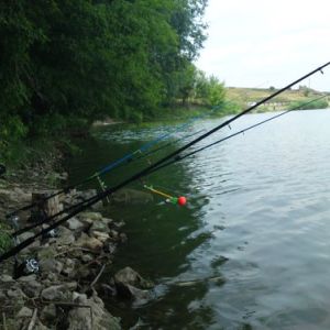 Сватовское водохранилище, Луганская область