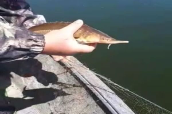 В течение апреля выявлено 183 правонарушения с убытками более 126 тыс. грн, – Херсонский рыбоохранный патруль