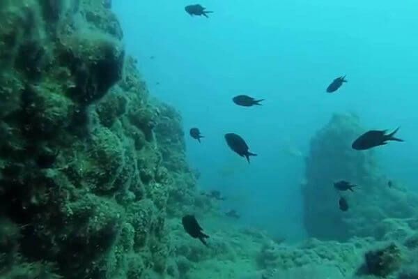 В течение апреля на Николаевщине зафиксировано убытков на сумму более 244 тыс. грн.