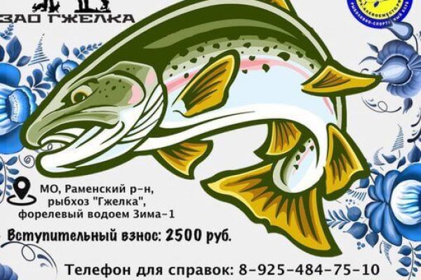 "Гжельская форель" турнир по ловле форели спиннингом 12 ноября 2017 года