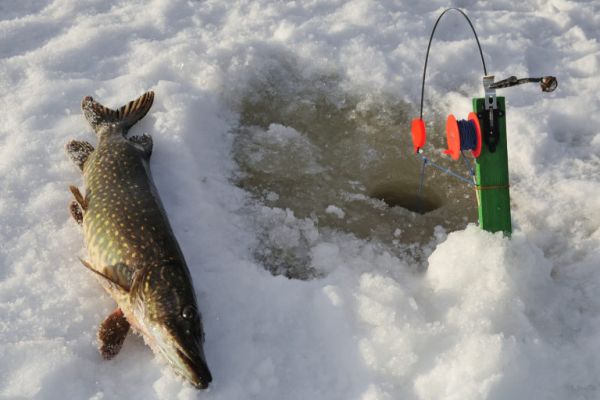 Рыбалка на щуку по первому льду и до конца января