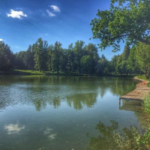 Рыбалка Савельево-3 (Ольгово)