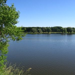Косовщинское водохранилище, Сумская область