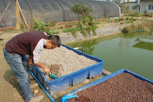 Одесский рыбоохранный патруль предложил зарыбливать внутренние водоемы за счет природоохранного фонда региона