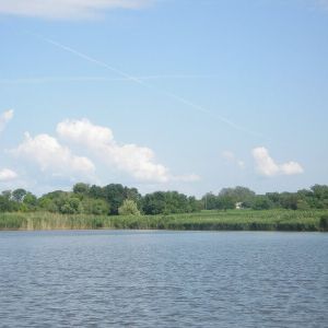 Ставок Николаевка, Петропавловский район, Днепропетровская область