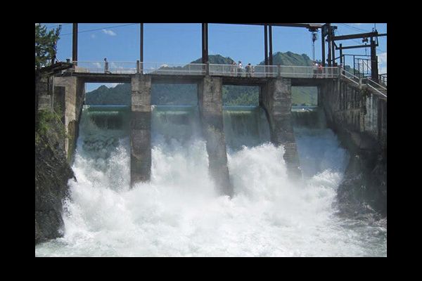 Важная роль рыбозащитных сооружений или почему бобры строят плотины.