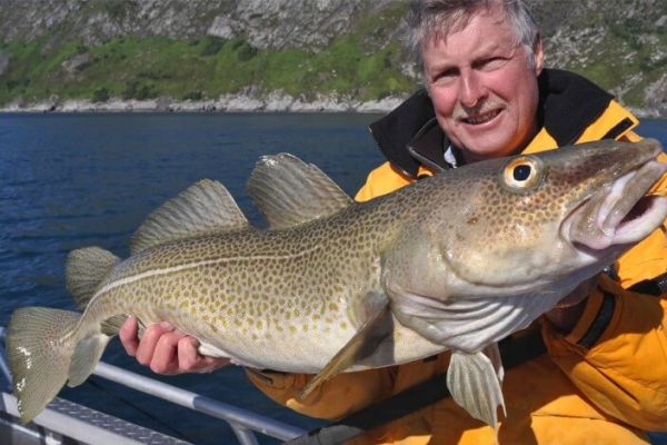 Почему рыбалка в Норвегии считается «элитной»?