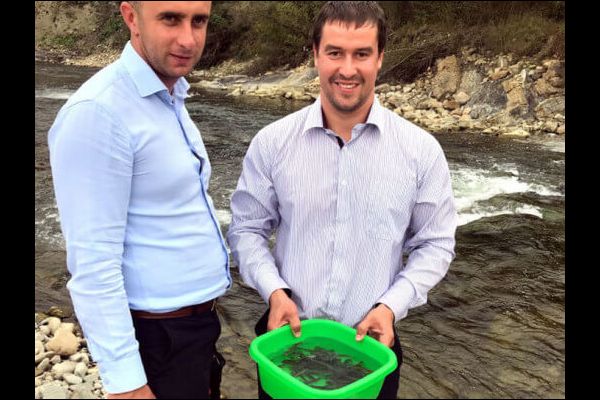 10.09.19 в реки Прут и Черемош пустили более 13 000 мальков лосося