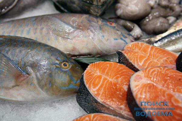 Рыбная отрасль за неделю