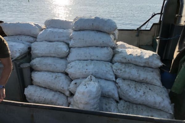 В 2018 году Управлением оперативного реагирования, было разоблачёно нарушений с убытками почти 12 млн грн