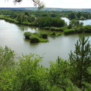 Озеро Ли, Вознесенский район, Николаевская область