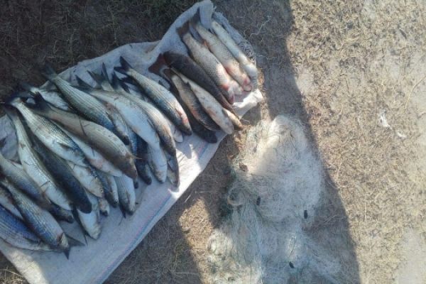 В заливе Сиваш зафиксированы нарушения - Азовское бассейновое управление