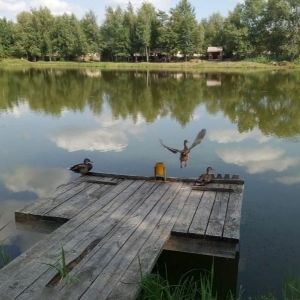 Озеро Королек