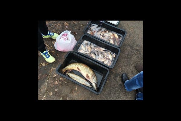 Рыбоохрана Киева