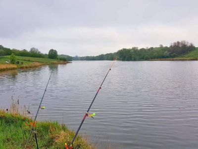 Рыбалка в с. Малополовецкое, ставок «Новенький»