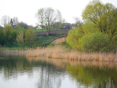 Озеро c. Быстреевка, Житомирская область