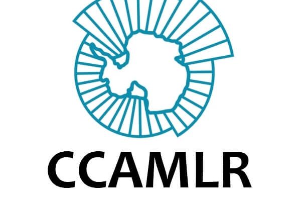 Госрыбагентство приглашает предпринимателей отрасли подавать заявки на осуществление промысла в зоне действия ККАМЛР в сезоне 2019-2020 годов