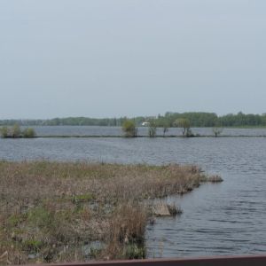 Корделевка, Калиновский район