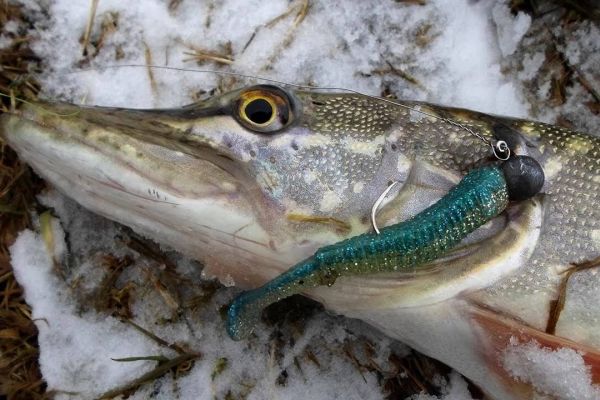 Рыбалка в феврале. Что Вас ждет?