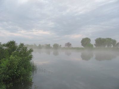 Гниловский канал