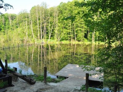 Пруд Адреналин (пос.Горького, Богодуховский район)