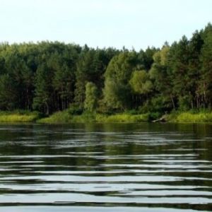 Кременчугское водохранилище, Черкасская область