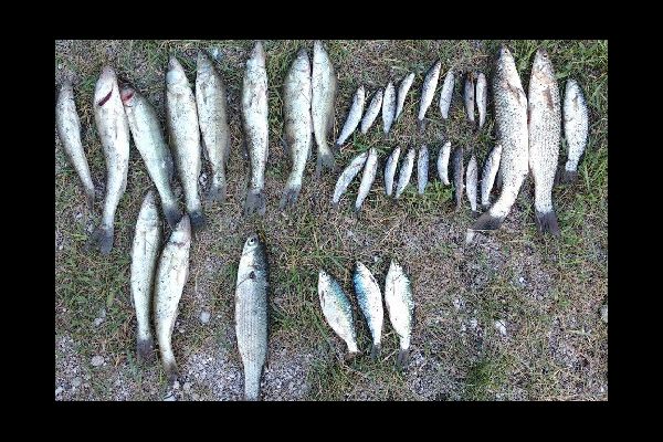 На реке Кальмиус госинспекторы выявили нарушения – почти на 20 тыс. грн. убытков